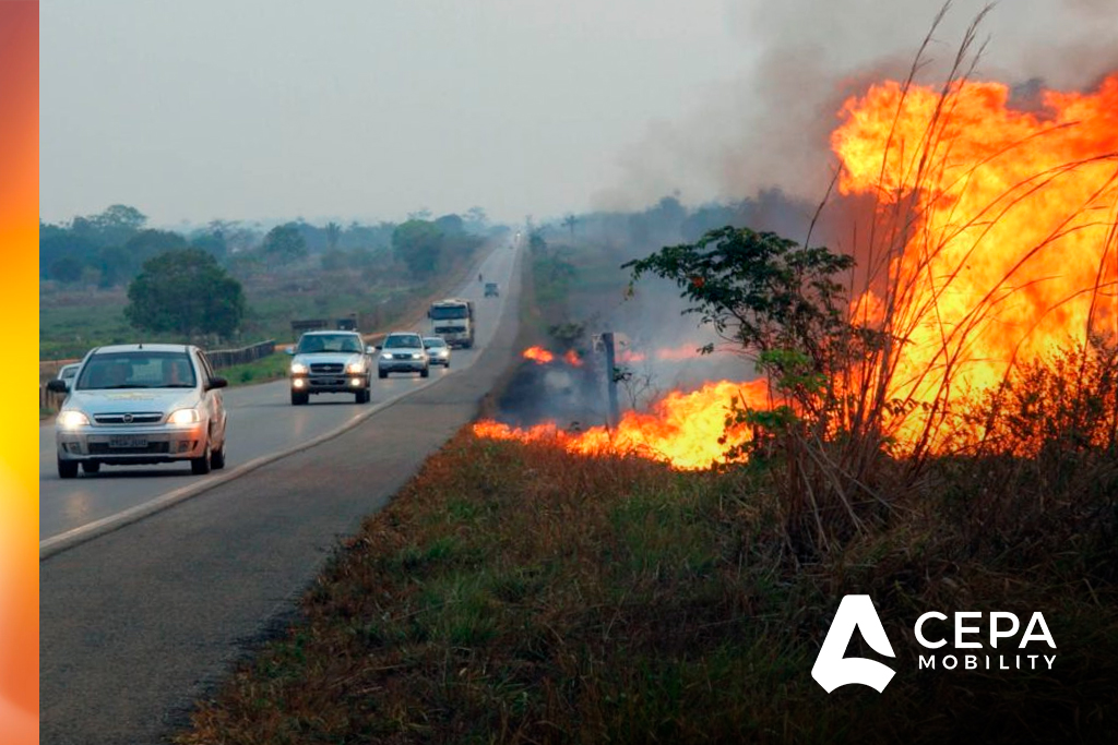 Queimadas se alastram pelo país e afetam a segurança nas rodovias